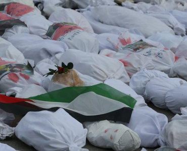 17435402841802443540