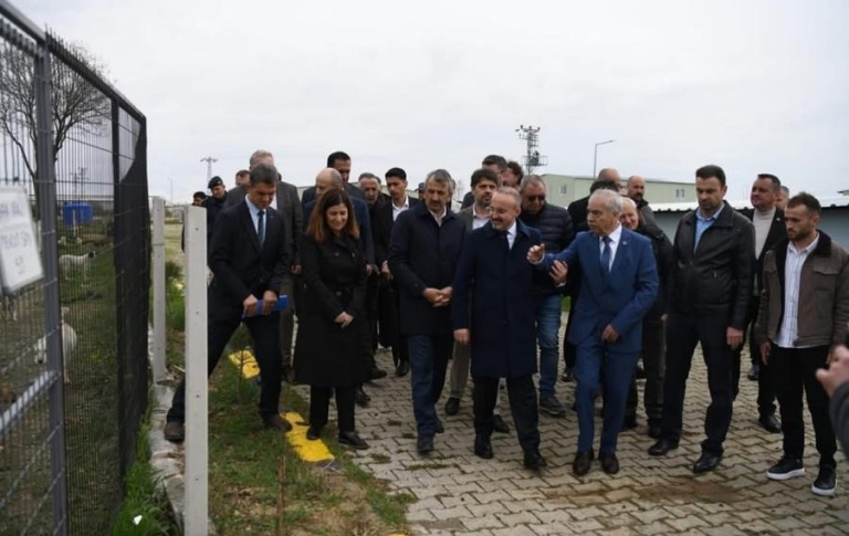 Edirne’de Sokak Hayvanlarına Yeni Yaşam Alanı: Trakya’nın En Büyük Barınağı Genişletiliyor
