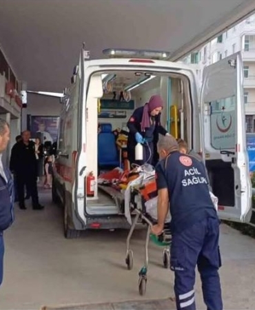 17436210231765470990