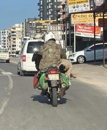 17437072492035904665