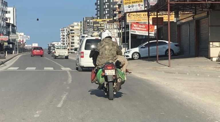 Erdemli’de Akılalmaz Görüntü: Motosikletin Kucağında Koç Taşıdı!