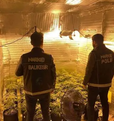 17437967641910345703