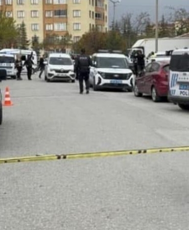 17438185152131312598