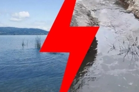 17438817321390402945