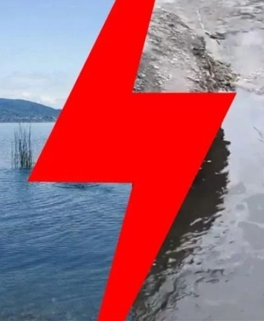 17438817321390402945