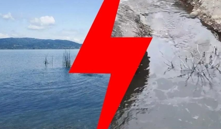 17438817321390402945