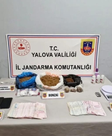 17438819771025421965