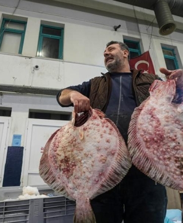 17440750521169248026