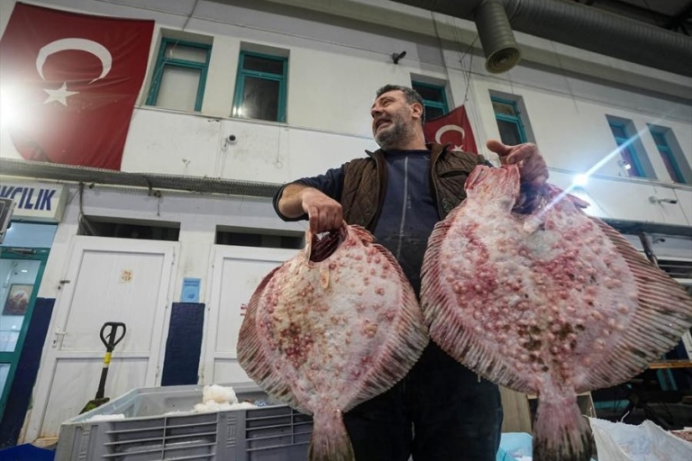 Ege’de Balık Sezonu Sona Eriyor: 53 Tonluk Bereketle Veda