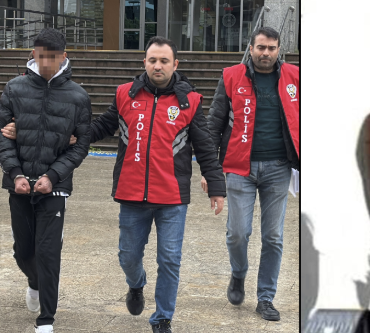 17440754791172945588