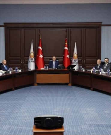 17441397631236529963