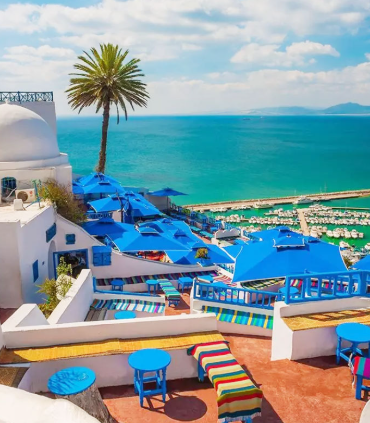 17442247801356106545