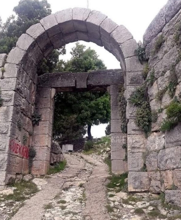 17444036871021525295