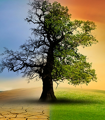 17444880771031227267