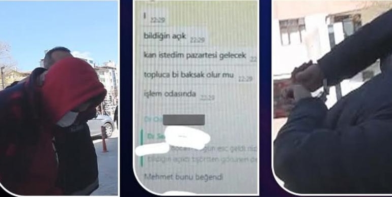 17445953862030433272