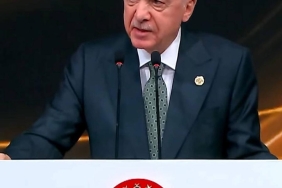 17450878661777884473
