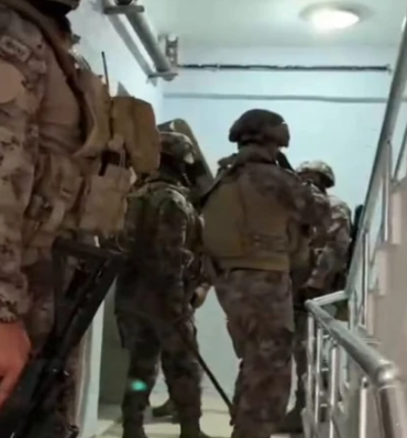 17450883431179578443