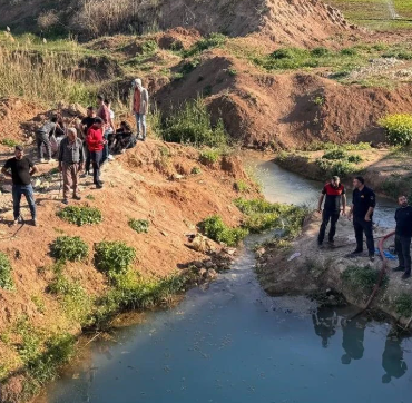 17450887241846714711