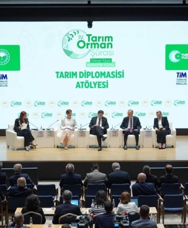 17452652051374663729