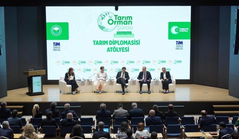 17452652051374663729