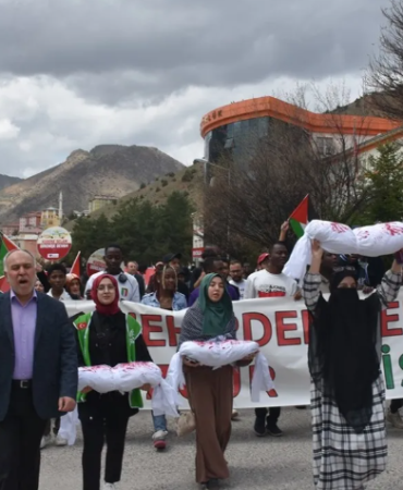 17455251082042950662