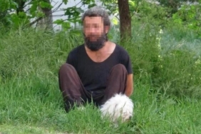 17455268791026552887