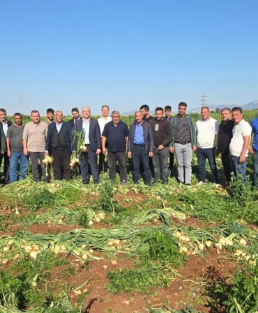 17457713371701978135