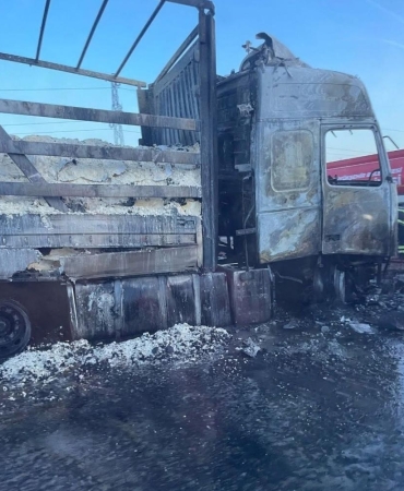 17458864421525552962