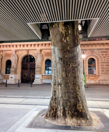 17458899521566366098