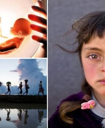 17461004852104717520