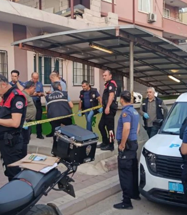 17467624181581710094