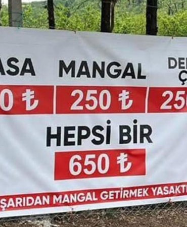 1747029588980742646
