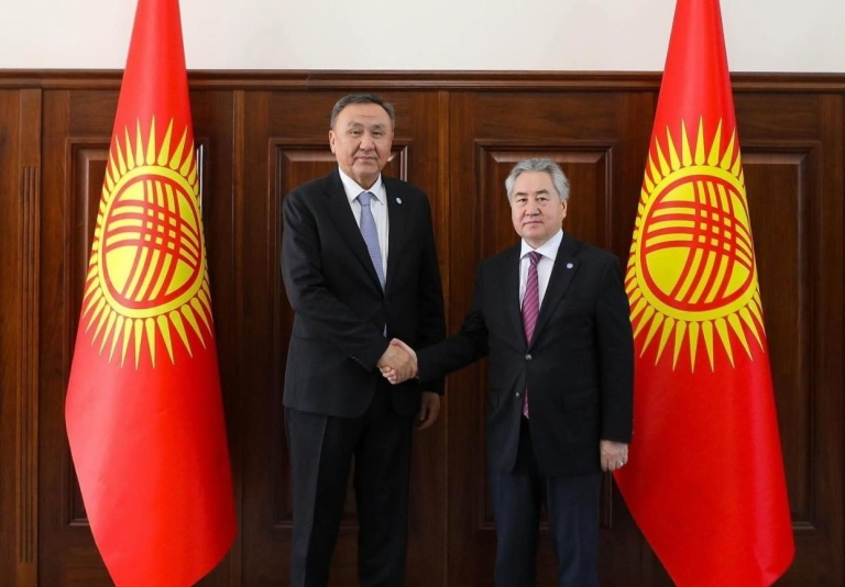 Kırgızistan, OTS Başkanlığı ve Macaristan Zirvesi İçin Hazırlıklarını Görüştü