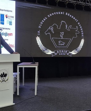 17475305951931734801