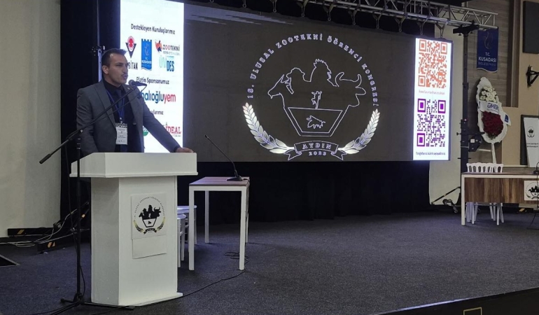 17475305951931734801