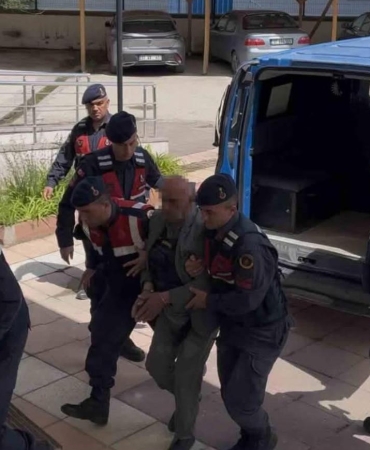 17476238631557422824