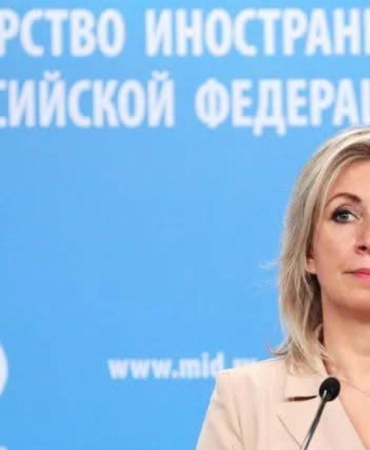 17476241241061842454