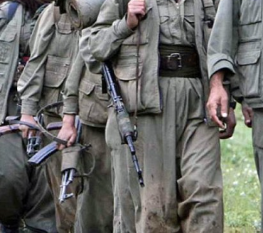 17477545031353937815