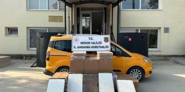 17477817102046649523