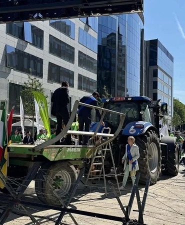 17480366991838529567