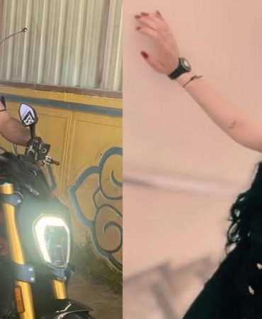 17480374491920295241