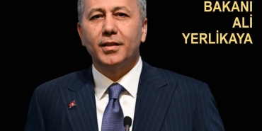 17481247691451194313