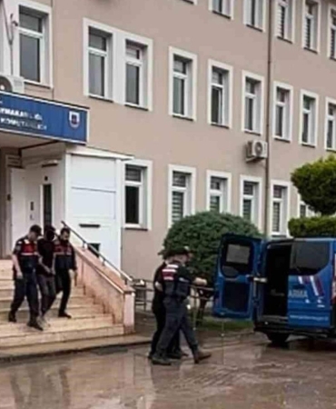 17483944711777798010