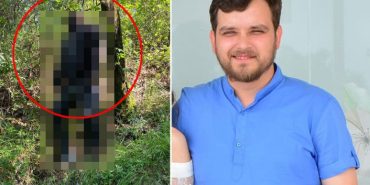 17487272951541822064