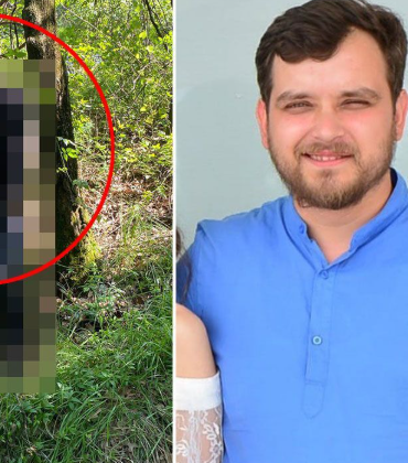 17487272951541822064