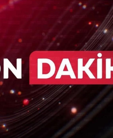 17489141311945354418