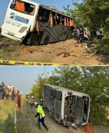 17493540991221260004