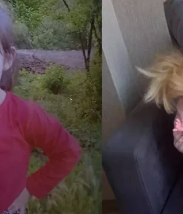 17494358011075287763