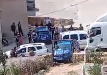 17494358691877890632