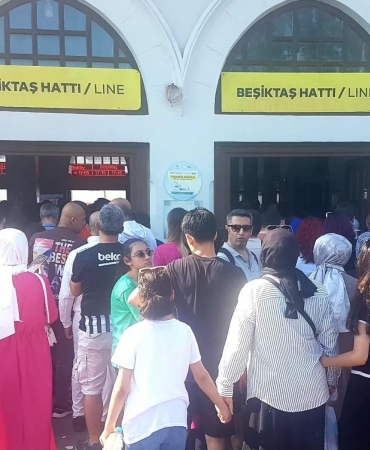 17494991951082515397